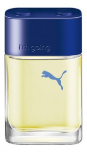 Puma I`M Going men