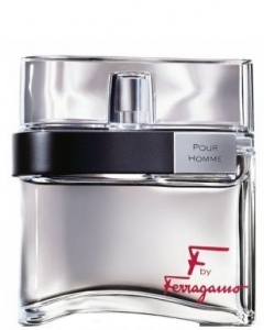 Salvatore Ferragamo F by Ferragamo Pour Homme