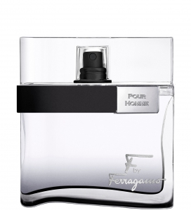 Salvatore Ferragamo F by Ferragamo Black