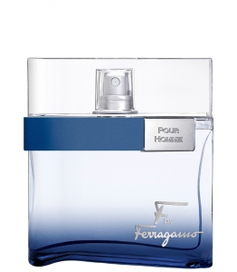 Salvatore Ferragamo F by Ferragamo Free Time