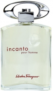 Salvatore Ferragamo Incanto Pour Homme