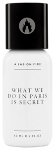 A Lab on Fire What We Do In Paris Is Secret
