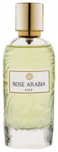 Aj Arabia (Widian) Rose Arabia Lily