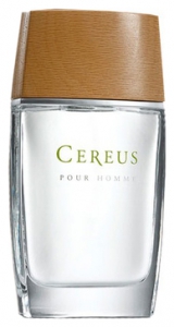 Cereus Cereus No.4