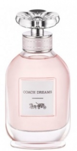 Coach Coach Dreams