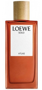 Loewe Solo Atlas