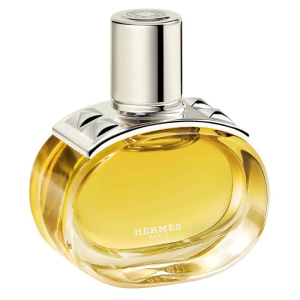 Hermes Barenia Intense