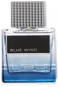 Custo Barcelona Blue Wind