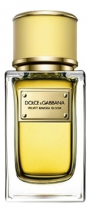 Dolce & Gabbana Velvet Mimosa Bloom