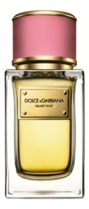 Dolce & Gabbana Velvet Rose