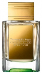 Ermenegildo Zegna Strength