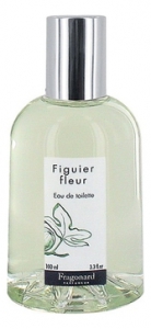 Fragonard Fragonard Figuier Fleur