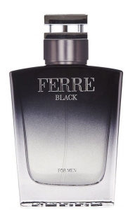 Gianfranco Ferre Ferre Black