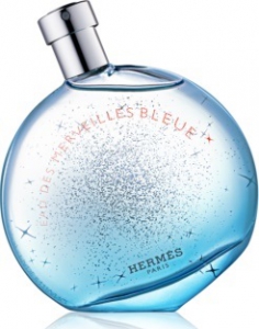 Hermes Eau des Merveilles Bleue