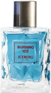 Iceberg Burning Ice