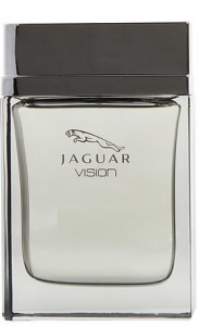 Jaguar Jaguar Vision