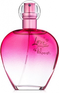 Love Passport A Bloom